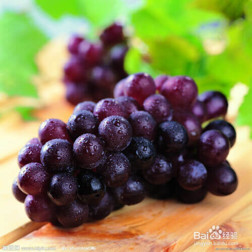 Grape Drying Process